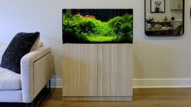 What Makes Aquarium Kits the Stylish Home Upgrade You Didn’t Know You Needed