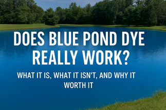 Does Blue Pond Dye Really Work? What It Is, What It Isn’t, and Why It’s Worth It