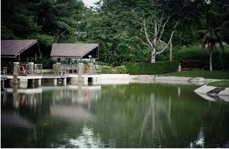 Fountain Pumps and Fish Ponds: How to Keep Your Pond Ecosystem Healthy