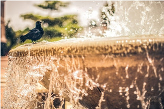 The Best Water Features for Homes with Smaller Outdoor Spaces