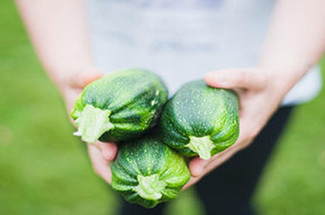 Elevate the Functionality of Your Urban Vegetable Garden: 5 Ways to Maximize Your Green Space