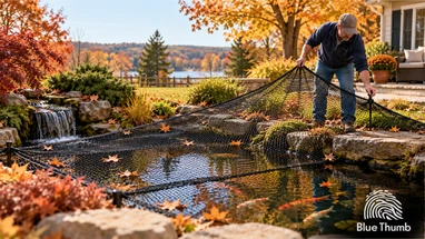 How to Winterize a Pond, Fountain, or Water Feature for Fall & Winter