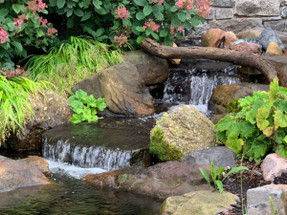 How To Find a Leak in a Pond