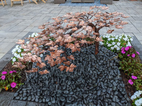 The Marriage of Metal and Majesty: Pairing Vibrant Plants with Your Copper Fountain