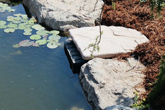 The Muck Stops Here: Essential Pond Cleaning Techniques for a Sparkling Oasis