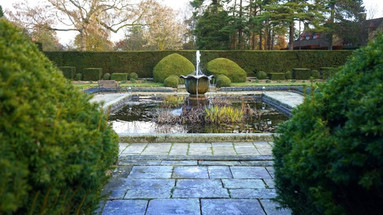 Ponds and Water Features You Need in Your Garden