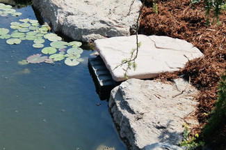 Troubleshooting Common Pond Skimmer Issues