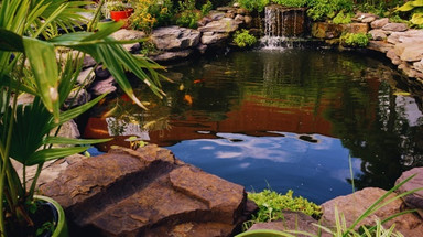 Keep Your Pond Pristine with Skimmer Boxes