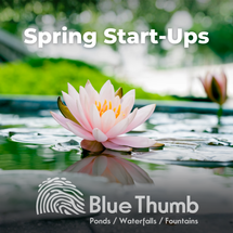 Spring Water Feature Start Up Guide | Blue Thumb