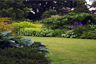 Spruce Up Your Backyard This Spring: Fun and Easy Ways to Transform Your Outdoor Space