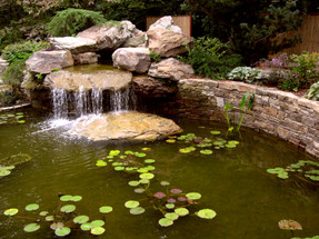Save Money; Build it Right the First Time - 10 Pond Mistakes To Avoid