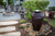 Scalloped Urn