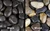 Polished Pebbles