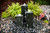 Smooth Black Granite Fountain