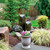 Cascade Mini-Mountain Spring Triple Fountain Kit in a beautiful setting