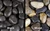 Polished Pebbles