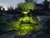 Lighting IllumiGlow® Color Changing Pond & Garden Light