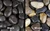 Polished Pebbles