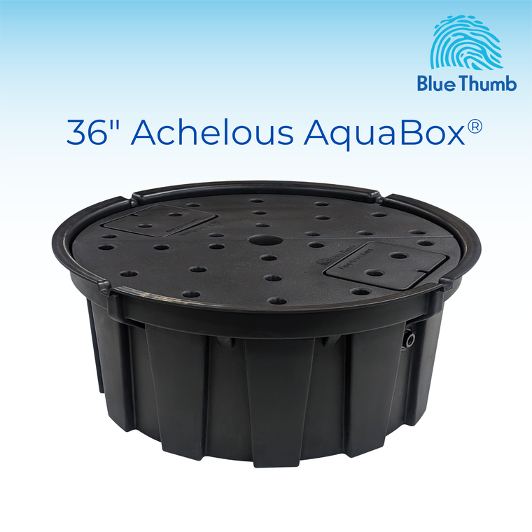 Basin 36-inch Achelous AquaBox