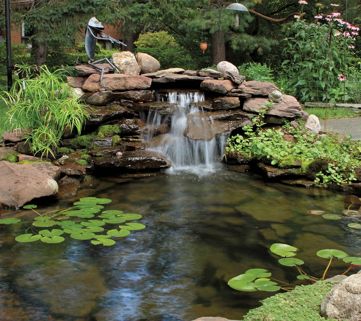 A garden pond and waterfall