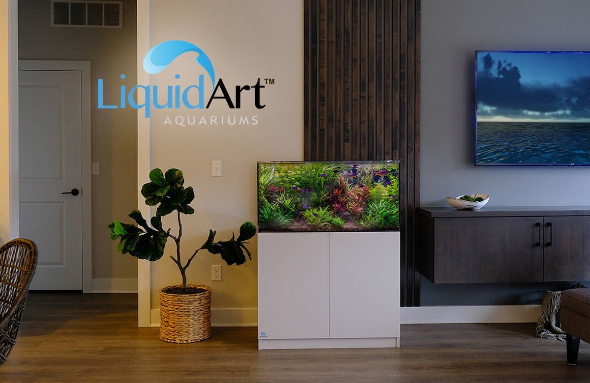 LiquidArt aquarium display