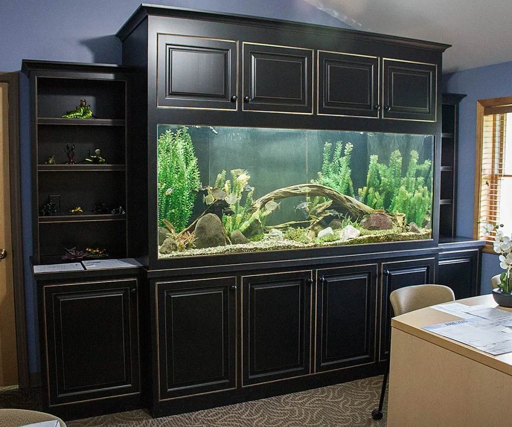 An aquarium from Blue Thumb’s early aquatics business