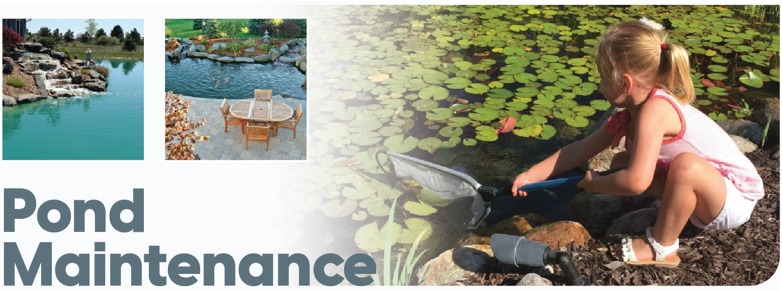 Pond Maintenance - Seasonal