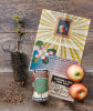 WILDFLOWER SEED GROWING KIT