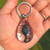 REAL BLACK SCORPION KEYCHAIN, IN ACRYLIC