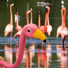 FLAMINGO WATERING CAN BOTTLE ATTACHMENT