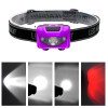 BLACKLIGHT AND WHITE LIGHT LED HEADLAMP