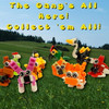 MINI ANIMAL BUILDING BLOCK SETS