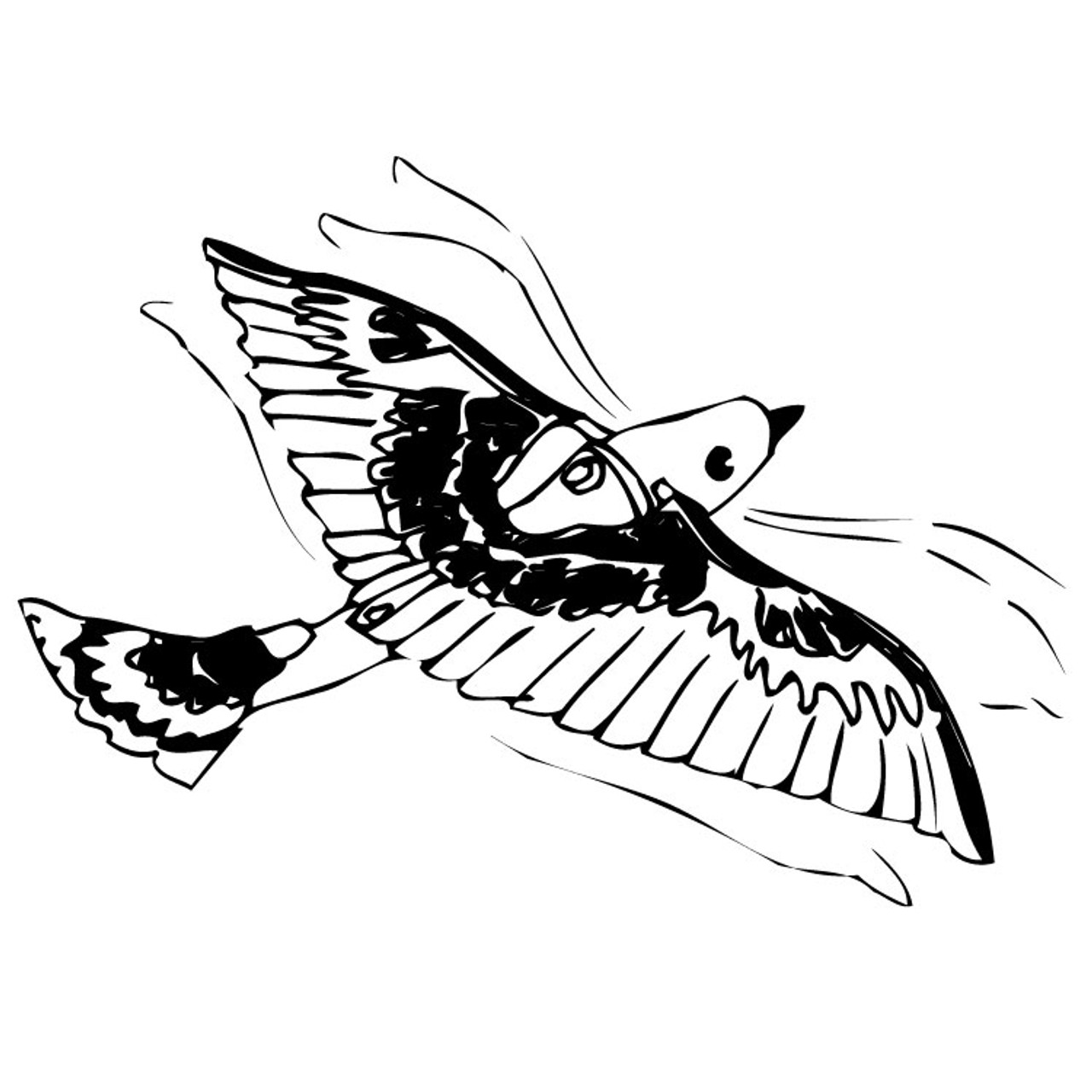 Bird Drawing Flying Images – Browse 742,668 Stock Photos, Vectors, and  Video | Adobe Stock