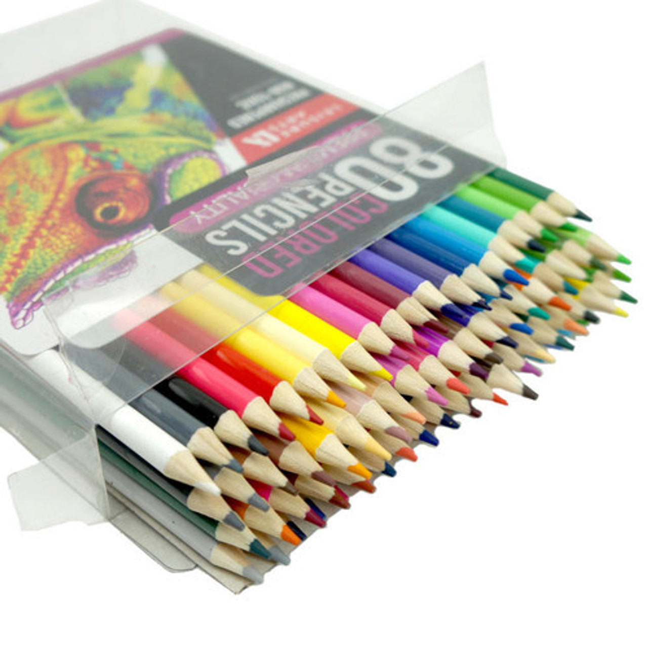 Winter Illustration Marker + Colored Pencil Premium Box