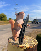 Timmy - The Tactical Squirrel Timmy - The Tactical Squirrel