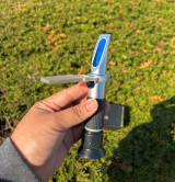 ​What is it Wednesday? ​What is it Wednesday?