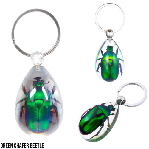 REAL GREEN CHAFER BEETLE KEYCHAIN, IN ACRYLIC