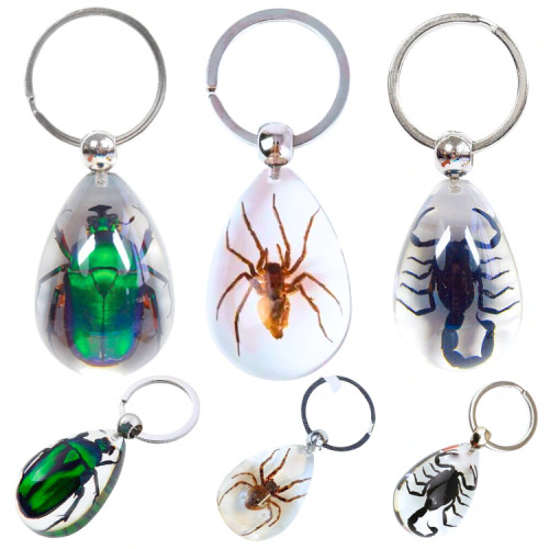 REAL BLACK SCORPION KEYCHAIN, IN ACRYLIC