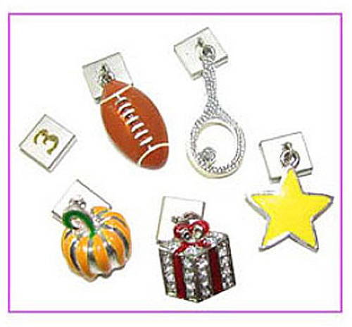 ASSORTED MAGNETIC CHARMS PKG(10)