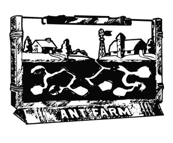 ANT FARM CLASSIC FROM UNCLE MILTON