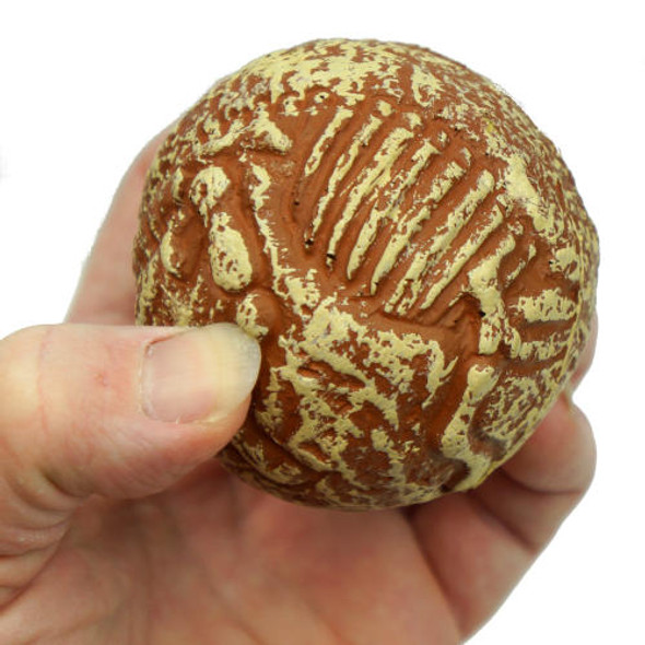 FOSSIL BOUNCER BOUNCING BALL