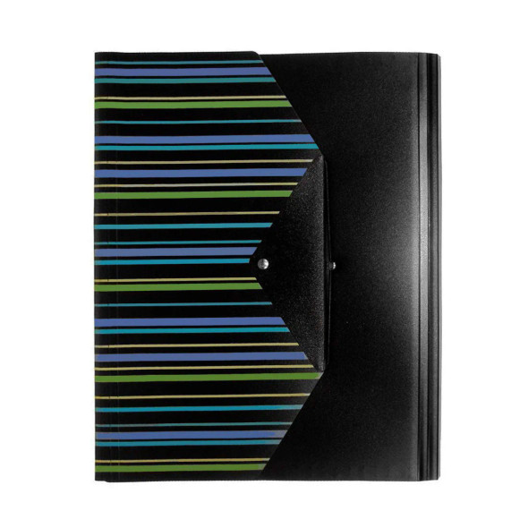 PLASTIC ACCORDION PORTFOLIO WITH COLORFUL FLAP