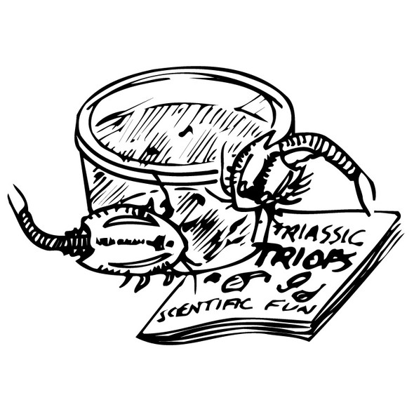 PREHISTORIC TRIOPS KIT AKA DINO SHRIMP