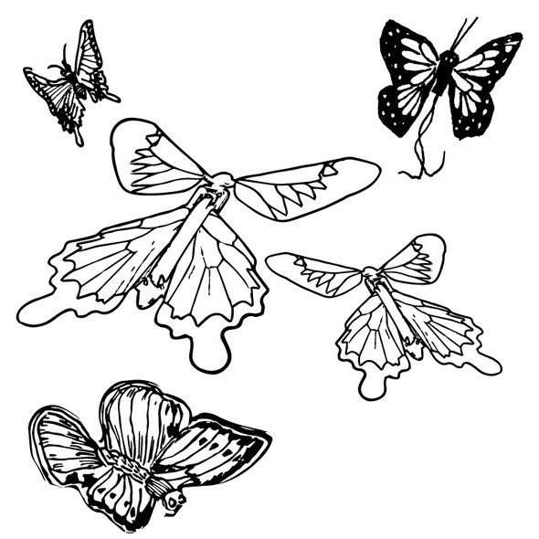 INSECT LORE WIND-UP FLYING BUTTERFLIES PKG(2)