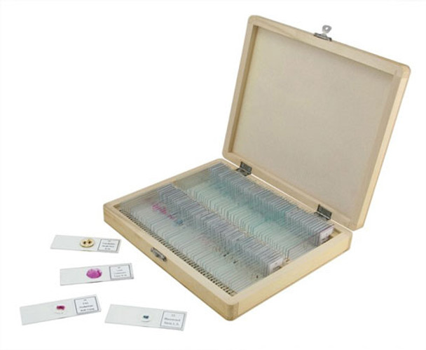 25 PREPARED MICROSCOPE SLIDES