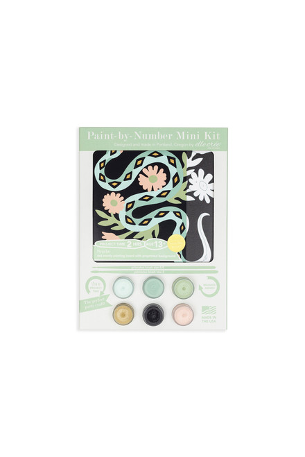 Mini Paint By Number Kit - Snake