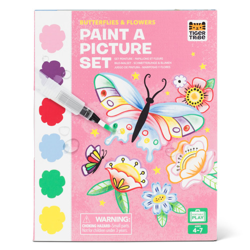 Paint a Picture Set - Butterflies and Flowers