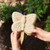 Butterfly Activity Kit