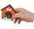 Pets Magneti Stories Pets Magneti Stories