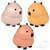 Capybara Splat Ball